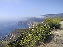 IMG_0179